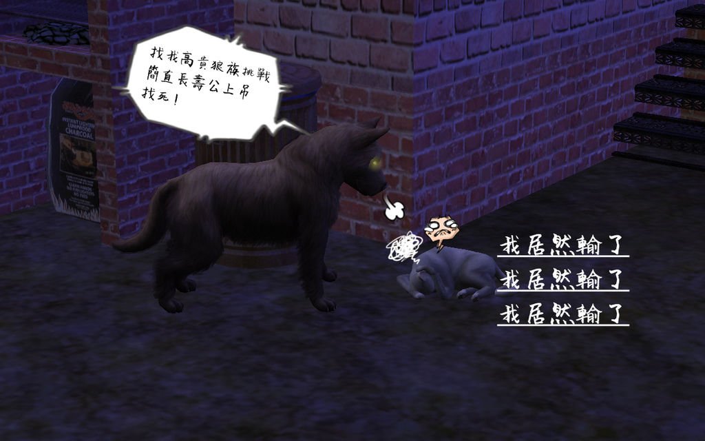 馬丁家34