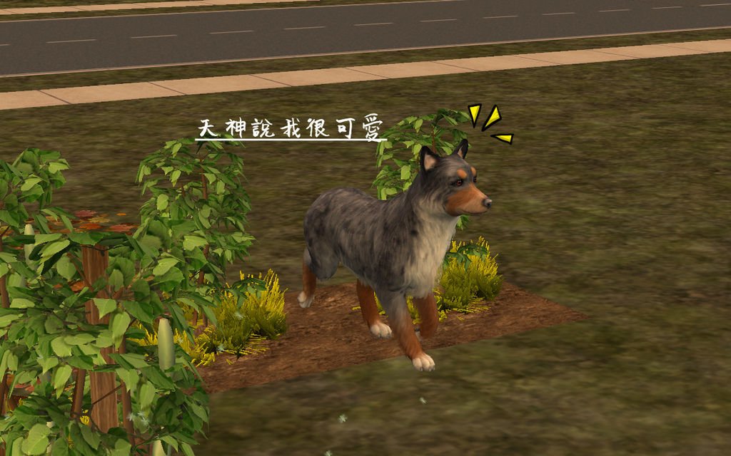 馬丁家25