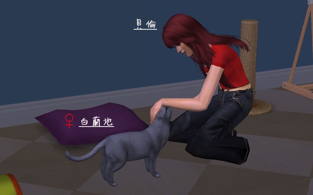 馬丁家53
