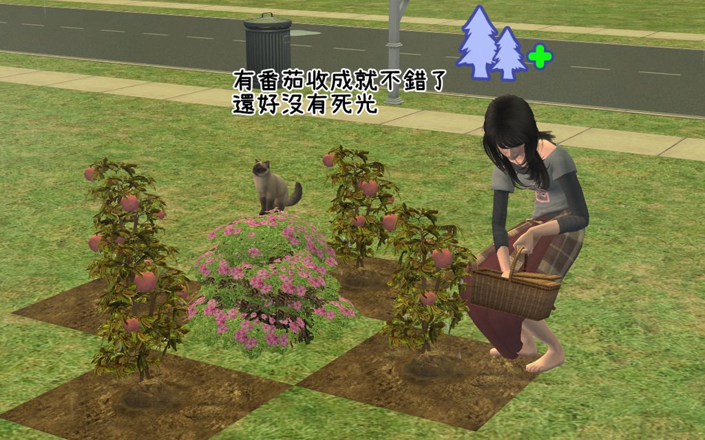 卯兔家36.bmp