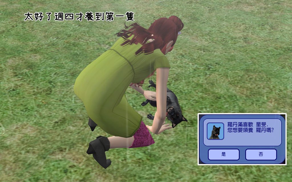 辰龍家35.bmp