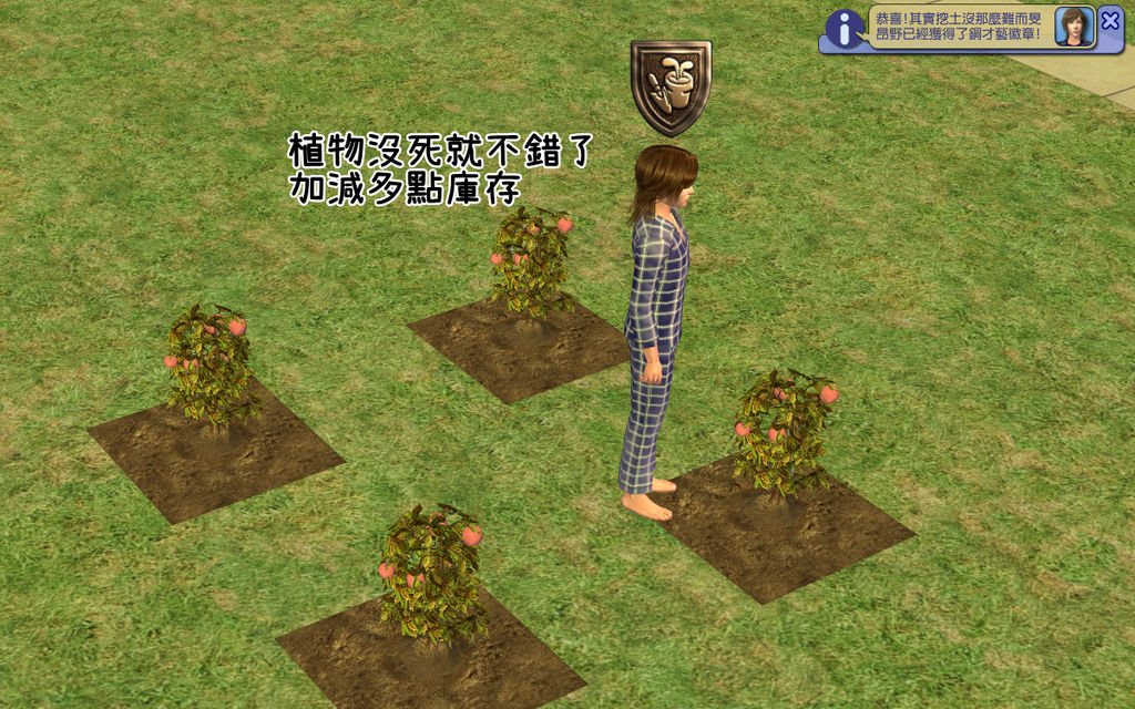 辰龍家44.bmp