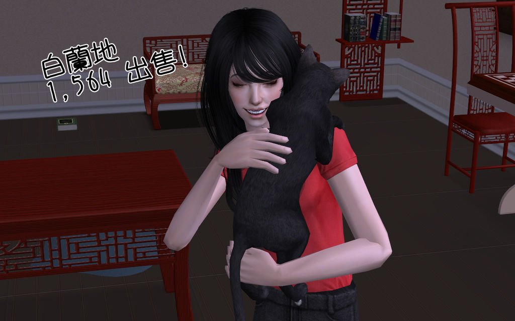 辰龍家46.bmp