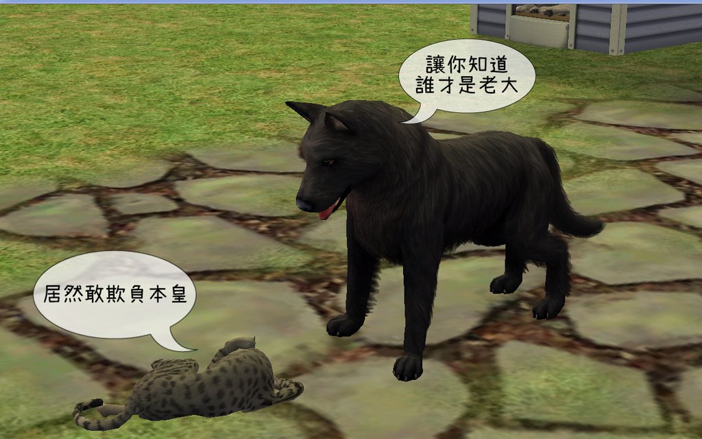 子鼠家(84).bmp