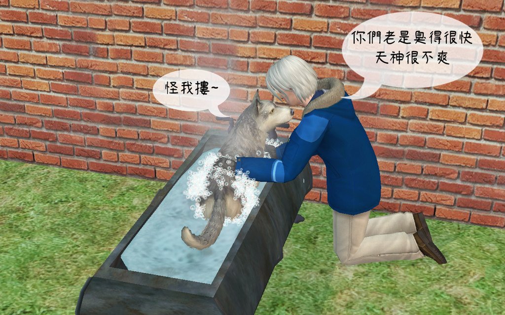 辰龍家  (35).bmp