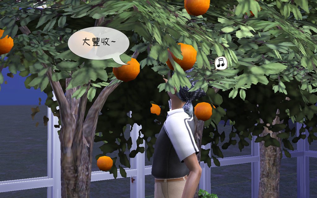 丑牛家 (13).bmp