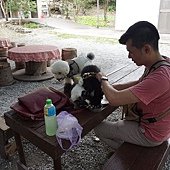 DSC01384.jpg