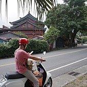 DSC01368.jpg