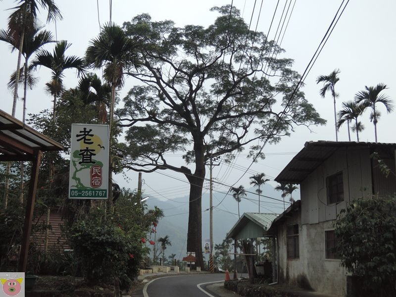 湘泉露營159.JPG