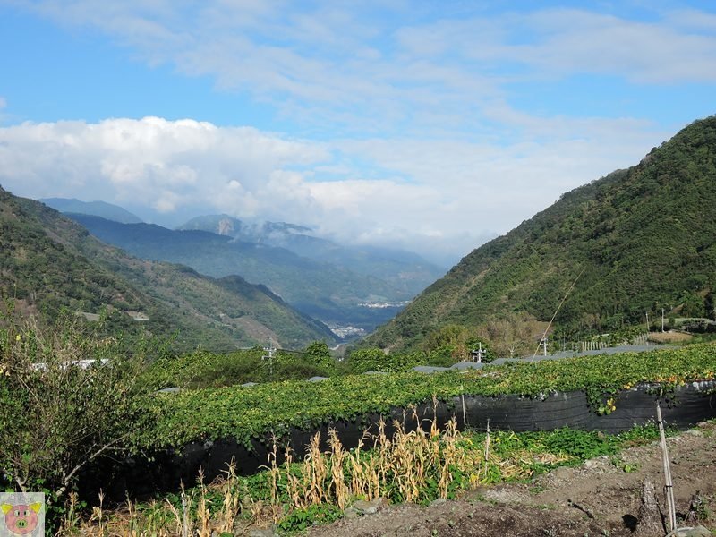 恩福露營DSCN4405.JPG