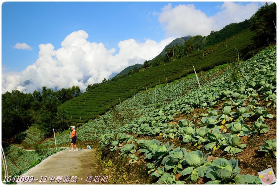 中泰。塔塔加DSC_6944_01.JPG