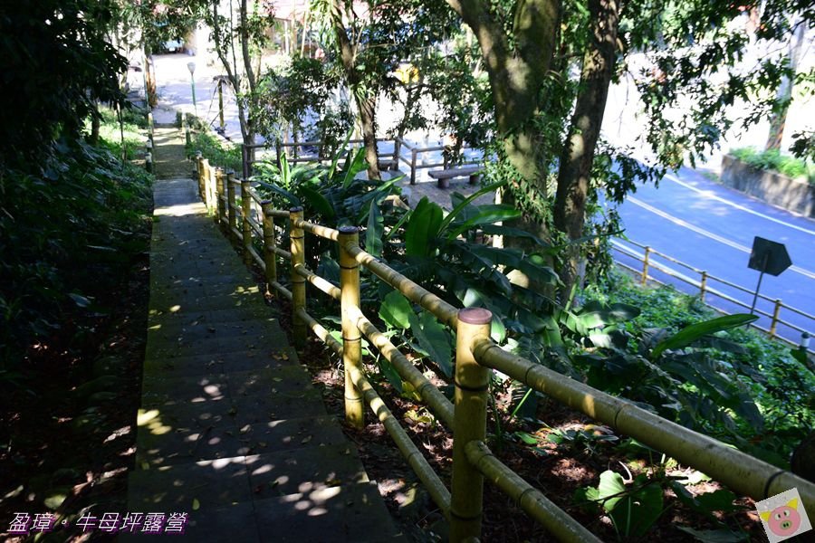 牛母坪DSC_9021.JPG