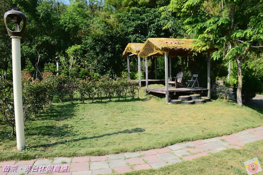 英台露營DSC_9957.JPG