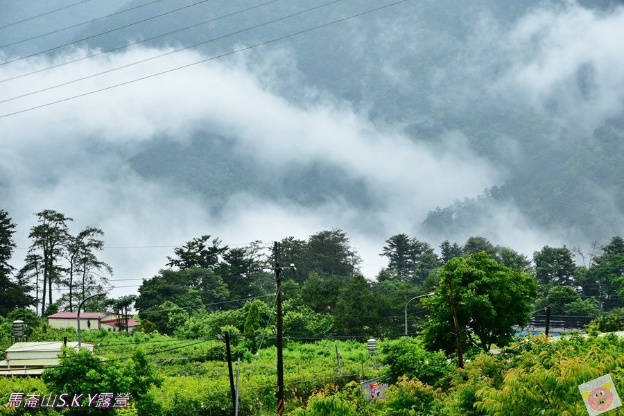 馬崙山SKYDSC_1569.JPG