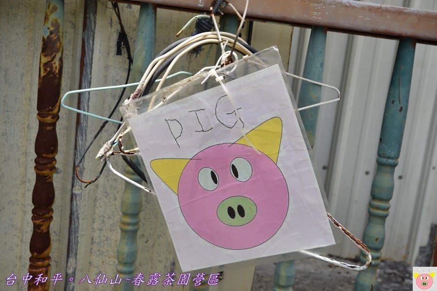 春露茶園DSC_2670.JPG