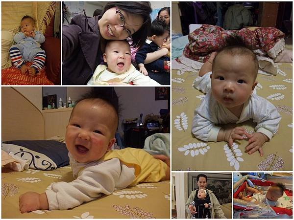20101115.jpg