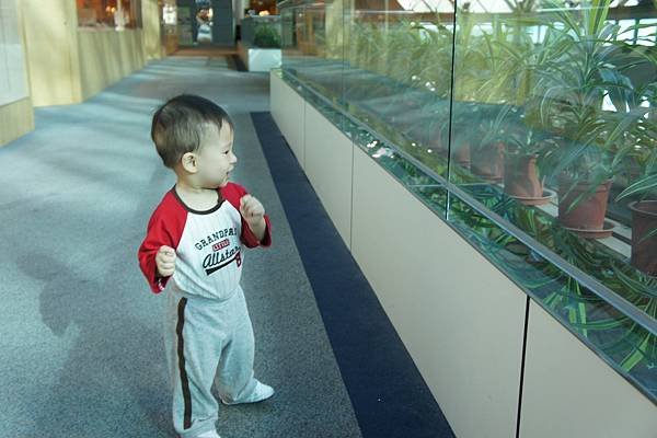 DSC08752.JPG