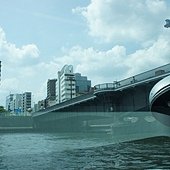 DSC02164.JPG