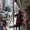 DSC02253.JPG