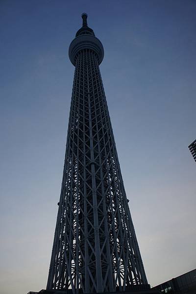 DSC02305.JPG