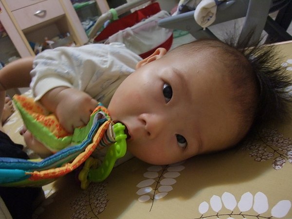 DSCF5796.JPG