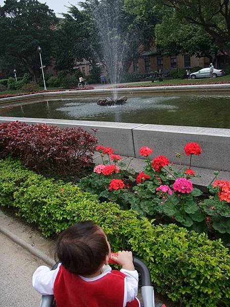 DSCF6231.JPG