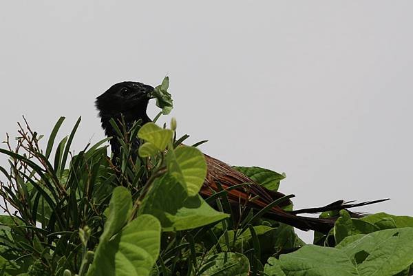 IMG_8564.jpg