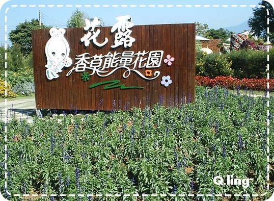 03.JPG