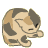 舔毛.gif