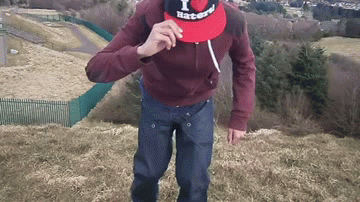 dL5htRy.gif