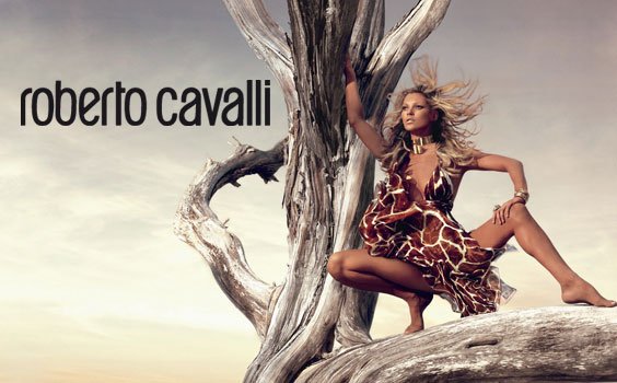 cover_roberto_cavalli_2006_.jpg