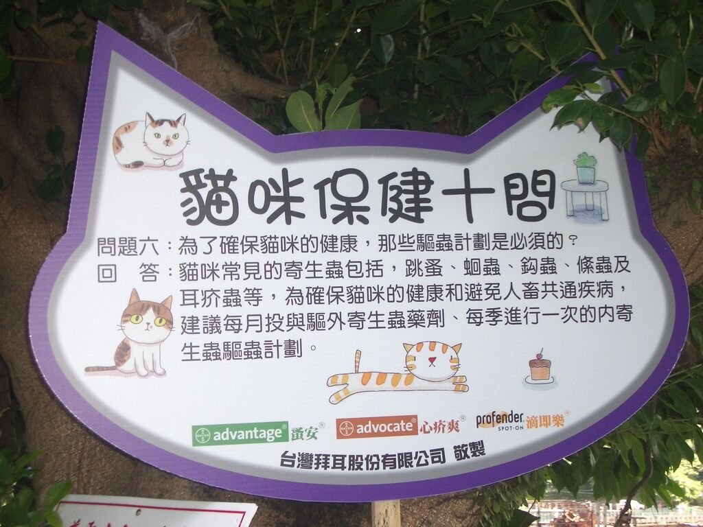 IMGP2056.JPG