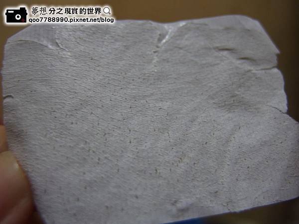 P1240032 (Copy).JPG