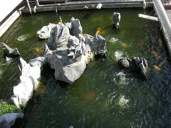 DSCN2064.JPG