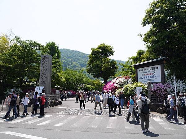P1610164.JPG