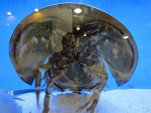 IMG_3642.JPG