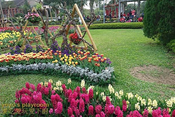 賞花等027.jpg