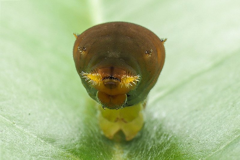 P9190026