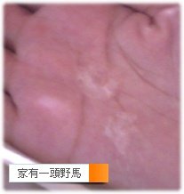 Picture 169.jpg
