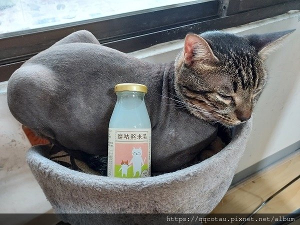 【養生飲品推薦】掌生穀粒糧商號~糜咕熬米湯--純綷舒適的好營