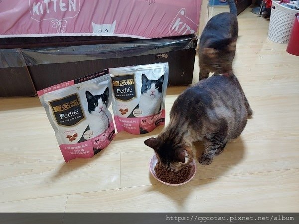 【貓咪飼料推薦】統一寶多福健康機能系列(護膚亮毛+GABA舒