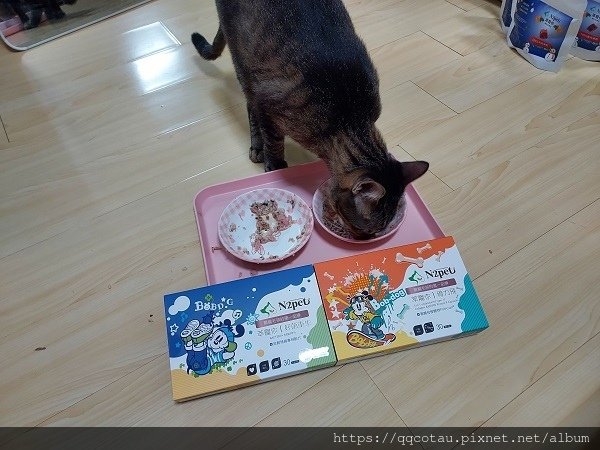 【關節保健-犬貓】萃寵你N2pet~骨力飛-五合一關節保養+