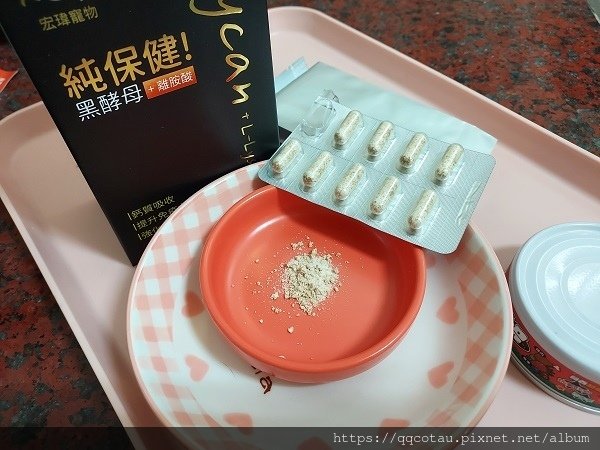 【呼吸道X免疫調節推薦】Kogi宏瑋寵物~黑酵母離胺酸(毛孩