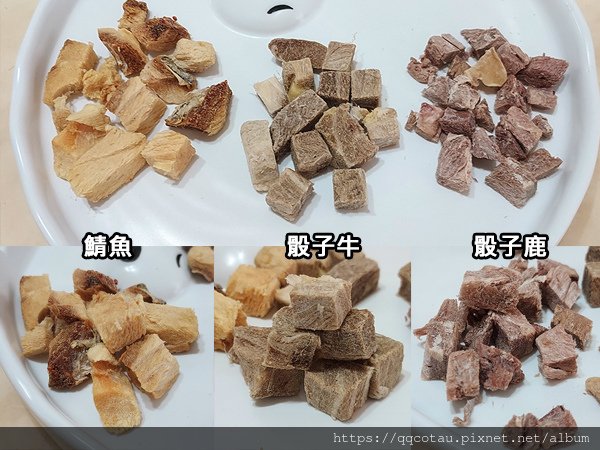 貓咪飼料推薦 無穀糧 天然糧 無穀飼料好嗎 單一肉源飼料 自