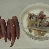IMG_6013.JPG