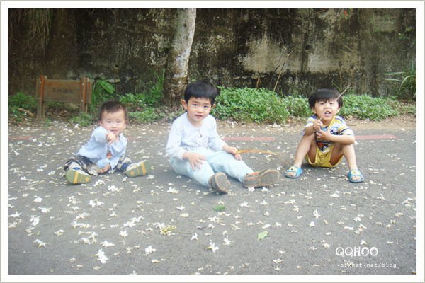 06.jpg