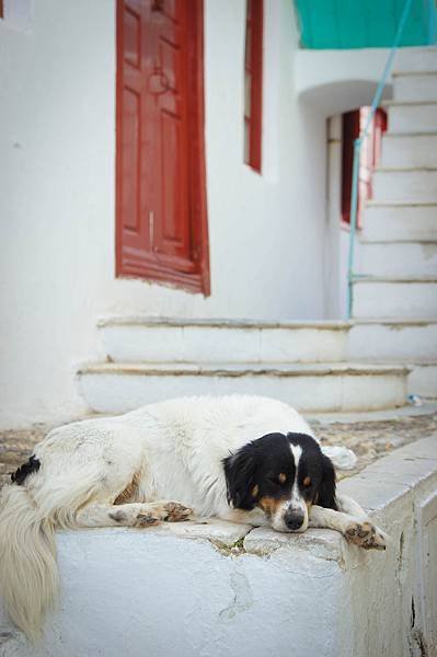 20150517-DSC02855