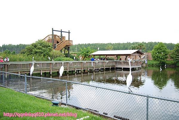 DSC_6464_副本.jpg