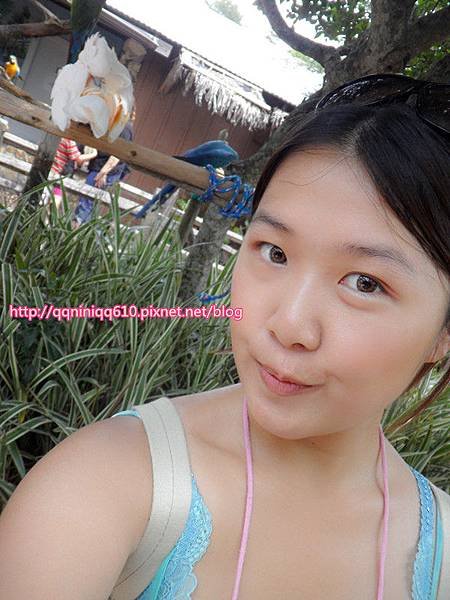 SAM_0374_副本.jpg