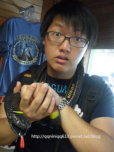 SAM_0385_副本.jpg